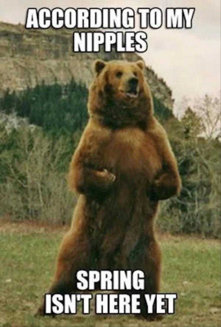 Animals Being Funny Pics  Temperature Sensor