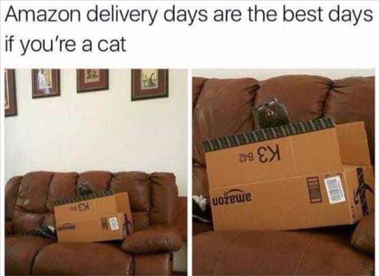 Top 26 Funny Animal Memes Of The Day_6023F4E014Efe.jpeg Hysterical Animal Pictures With Captions - New Home