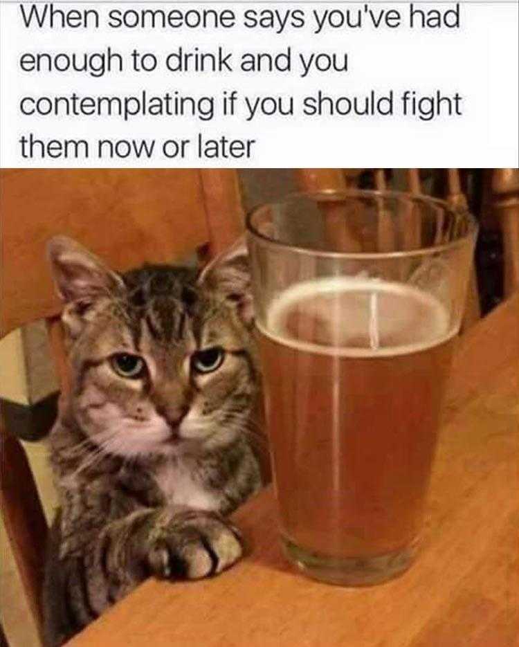 Animals Being Funny Pics  Being Cut Off