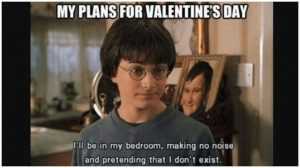 Valentines 18 Singles Awareness Day Memes - Harry Potter Plans