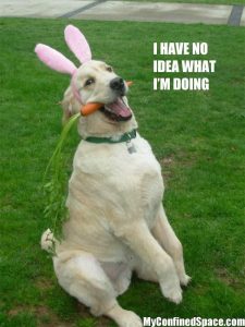 20 Funny Dog Easter Memes to Enjoy While You Binge Eat Easter Eggs 20 Funny Dog Easter Memes to Enjoy While You Binge Eat Easter Eggs