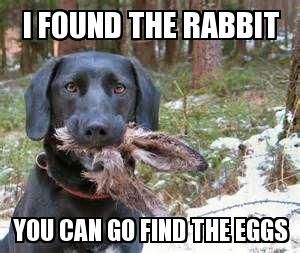 20 Funny Dog Easter Memes To Enjoy While You Binge Eat Easter Eggs