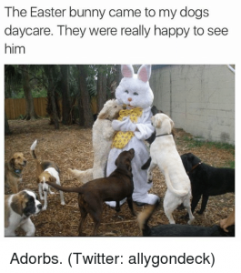 20 Funny Dog Easter Memes to Enjoy While You Binge Eat Easter Eggs 20 Funny Dog Easter Memes to Enjoy While You Binge Eat Easter Eggs