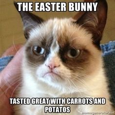 Funny Happy Easter Memes