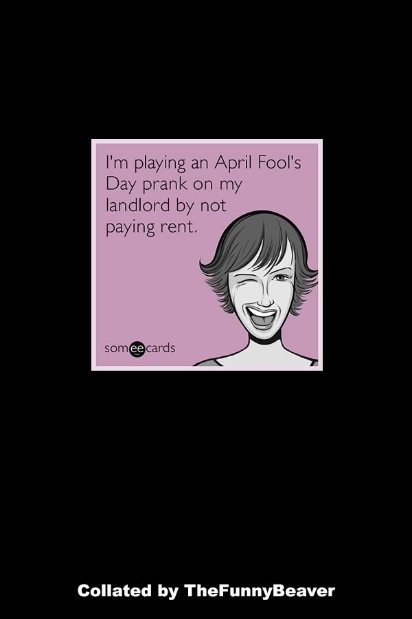 funny-april-fools-memes-5