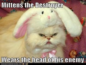 Funny Animal Easter Memes Funny Animal Easter Memes