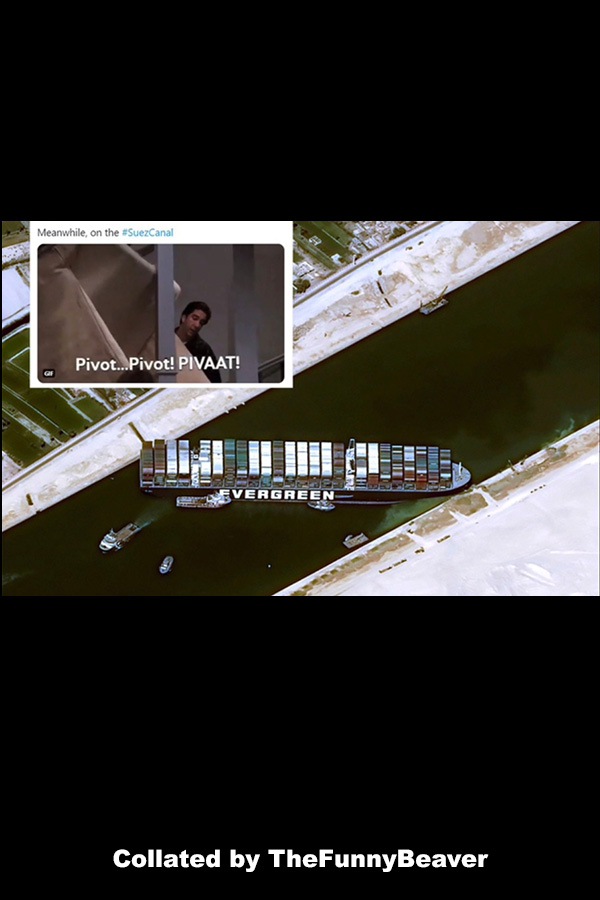 funny-suez-canal-memes-that-float-your-boat-12 Funny Suez Canal Memes - friends