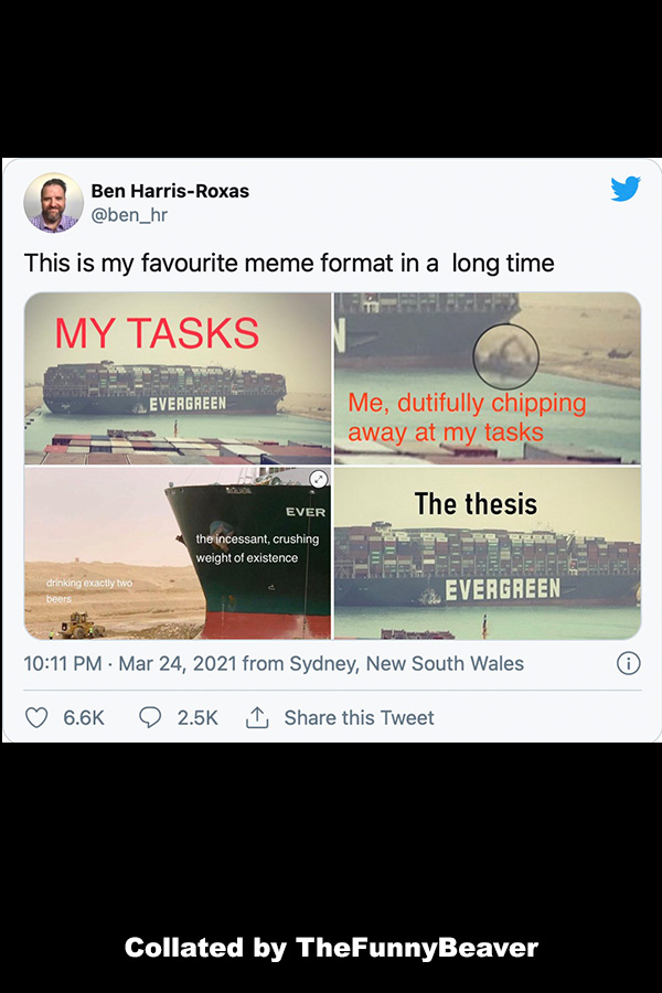 funny-suez-canal-memes-that-float-your-boat-17 Funny Suez Canal Memes - so true