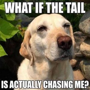 20 Funny Dog Easter Memes to Enjoy While You Binge Eat Easter Eggs 20 Funny Dog Easter Memes to Enjoy While You Binge Eat Easter Eggs