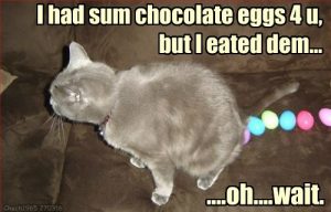 Funny Easter Cat Memes Funny Easter Cat Memes