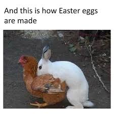 Funny Happy Easter Memes