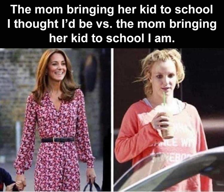 Hilarious Memes About Life  Blame It On Homeschool