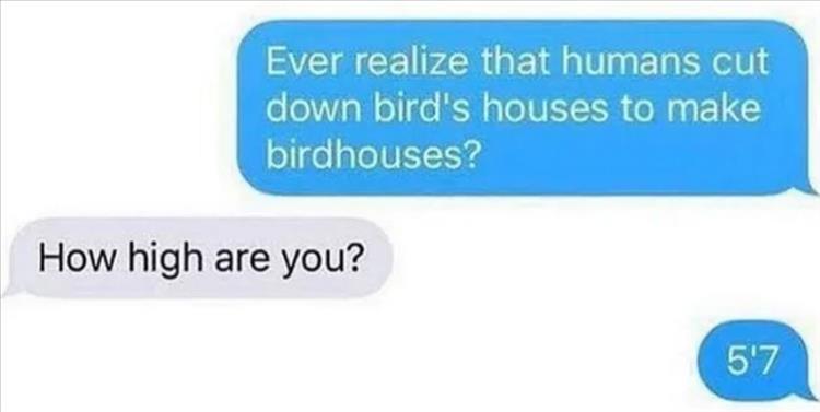 Hilarious Memes About Life  Buff Said