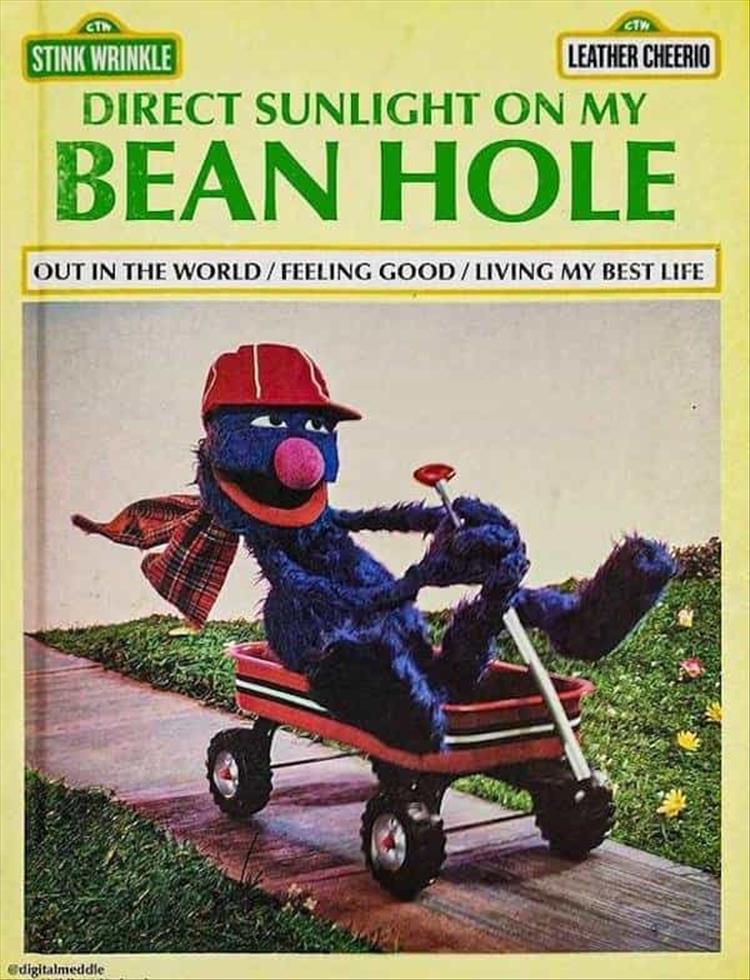 Hilarious Memes About Life  Fake Book Covers