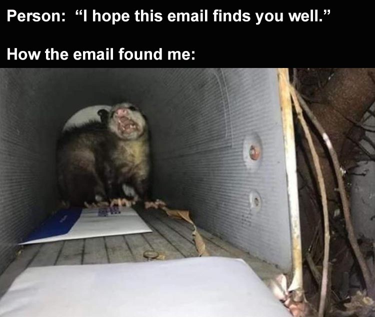 Hilarious Memes About Life  False Hope