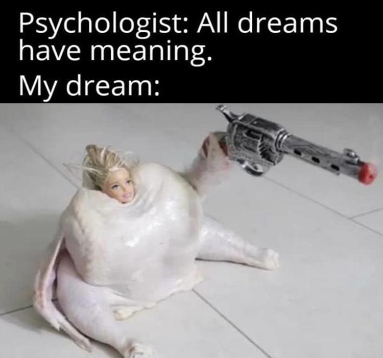 Hilarious Memes About Life  Dream The Impossible Dream