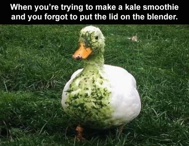 Hilarious Memes About Life  Oops