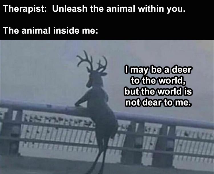 Hilarious Memes About Life  Unleashed