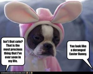 20 Funny Dog Easter Memes to Enjoy While You Binge Eat Easter Eggs 20 Funny Dog Easter Memes to Enjoy While You Binge Eat Easter Eggs
