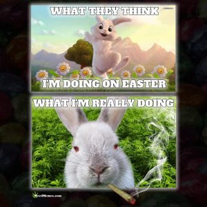 Funny Happy Easter Memes