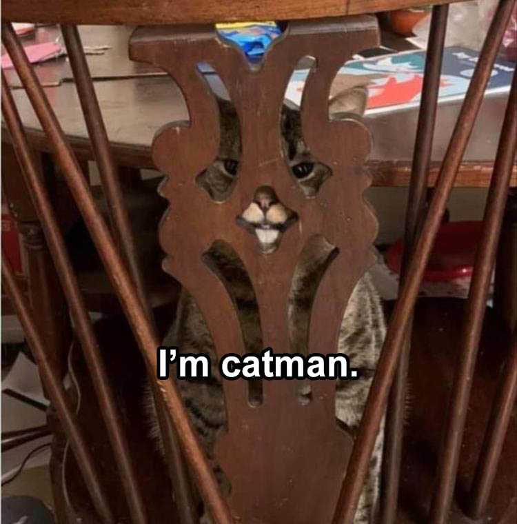 Funny Animal Images With Sayings