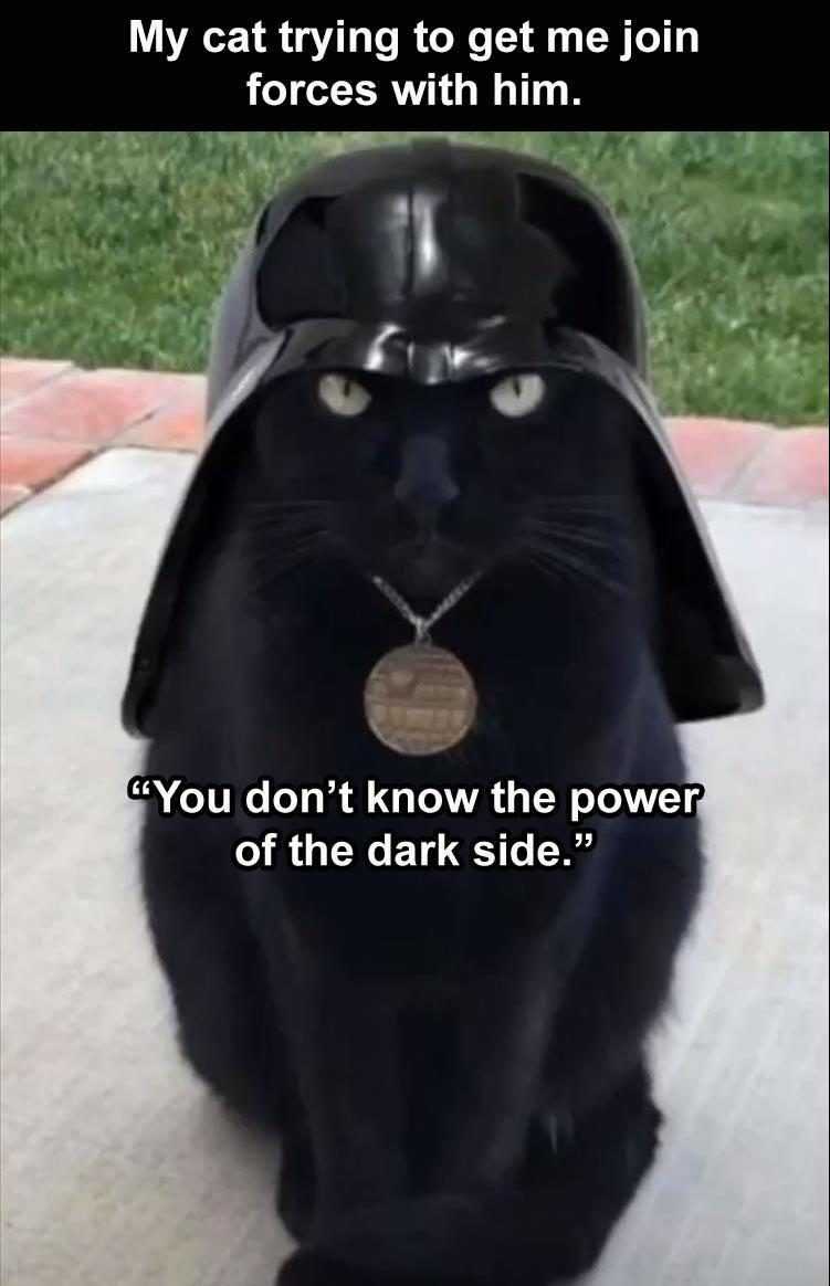 Funny Animal Images With Captions
