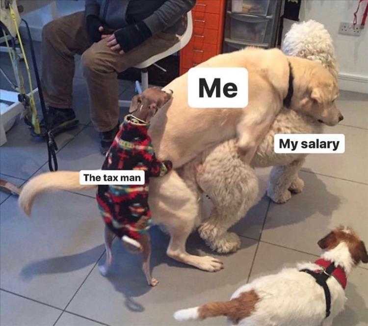 Funny Animal Images With Captions