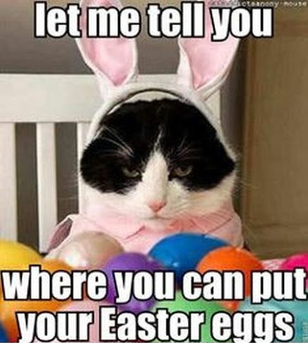 Funny Dirty Easter Memes To Laugh At During Break