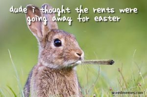 Funny Happy Easter Memes