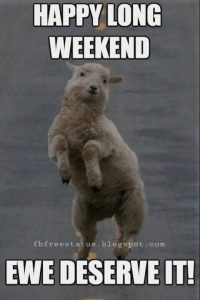 08fb7d7cabfbc4ae7625be1704fa56ae Funny long weekend memes
