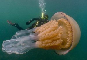 _107899850_Img_2380 Amazing Posts About Animals