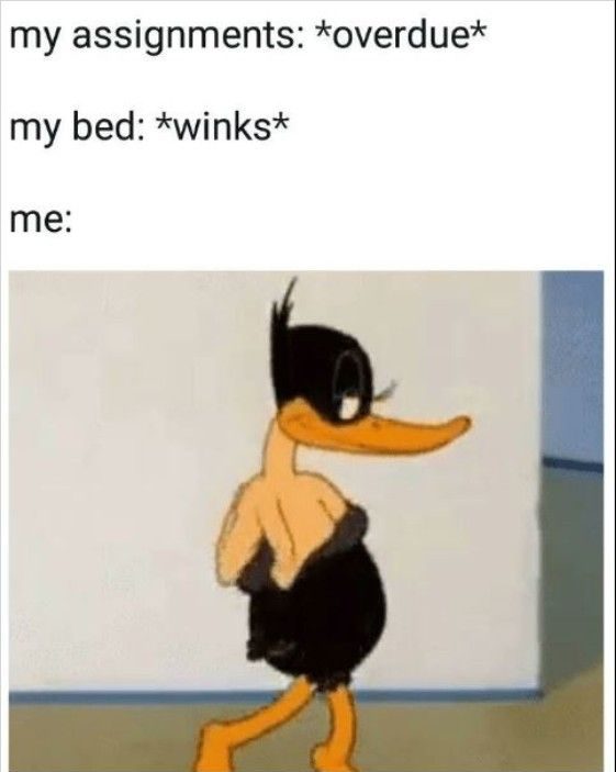 20 Funny University Memes For Students 20 Funny University Memes For Students