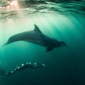 5600 Amazing Posts About Animals