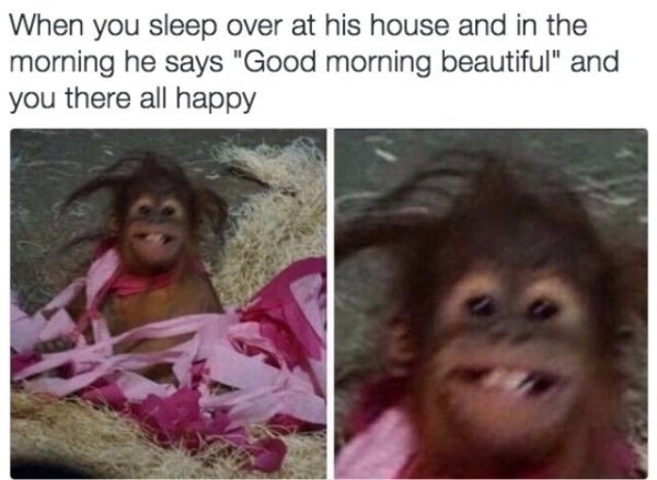 20 Hilarious Relationship Memes To Share With Your Partner