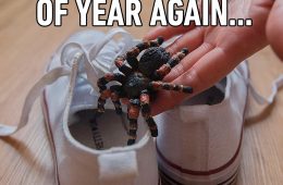 Funny April Fools Pranks And Memes