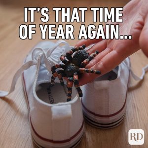 April-Fools-Memes-Opener Funny April Fools Pranks and Memes