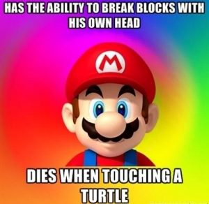 Mario Meme turtle