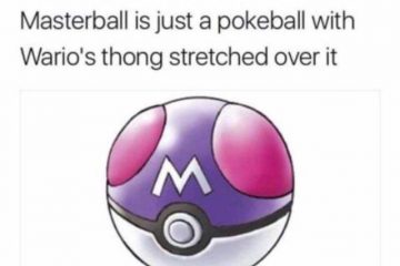 Pokemon Meme Masterball