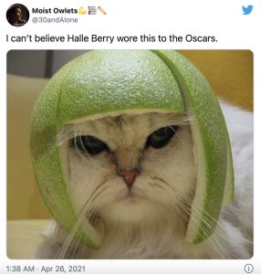 Funny Oscar Memes 2021  Hally Berry