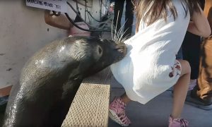Uax5Tnfqfg5Okbgdhifqv6-1200-80 20 Amazing Posts About Animals Close Encounters