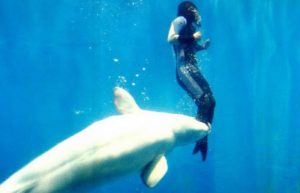 Animals-That-Saved-Lives Amazing Posts About Animals
