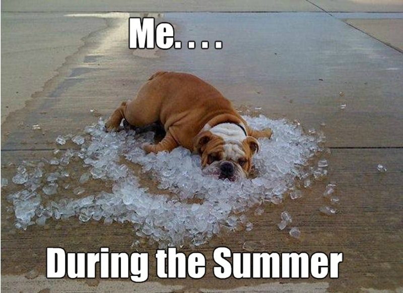 20 Summer Memes To Laugh At 20 Summer Memes To Laugh At