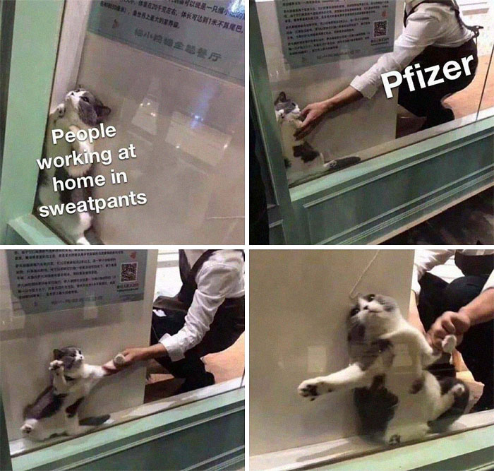 Funny Covid Vaccine Memes