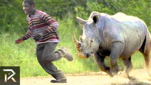 Egytgfrecdsx 20 Amazing Posts About Animals Close Encounters
