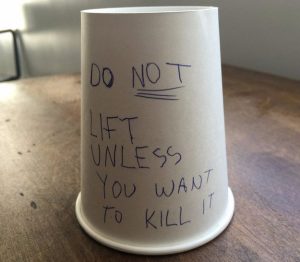 f5858c06cf511f48fb07c75f834d5327 Funny April Fools Pranks and Memes