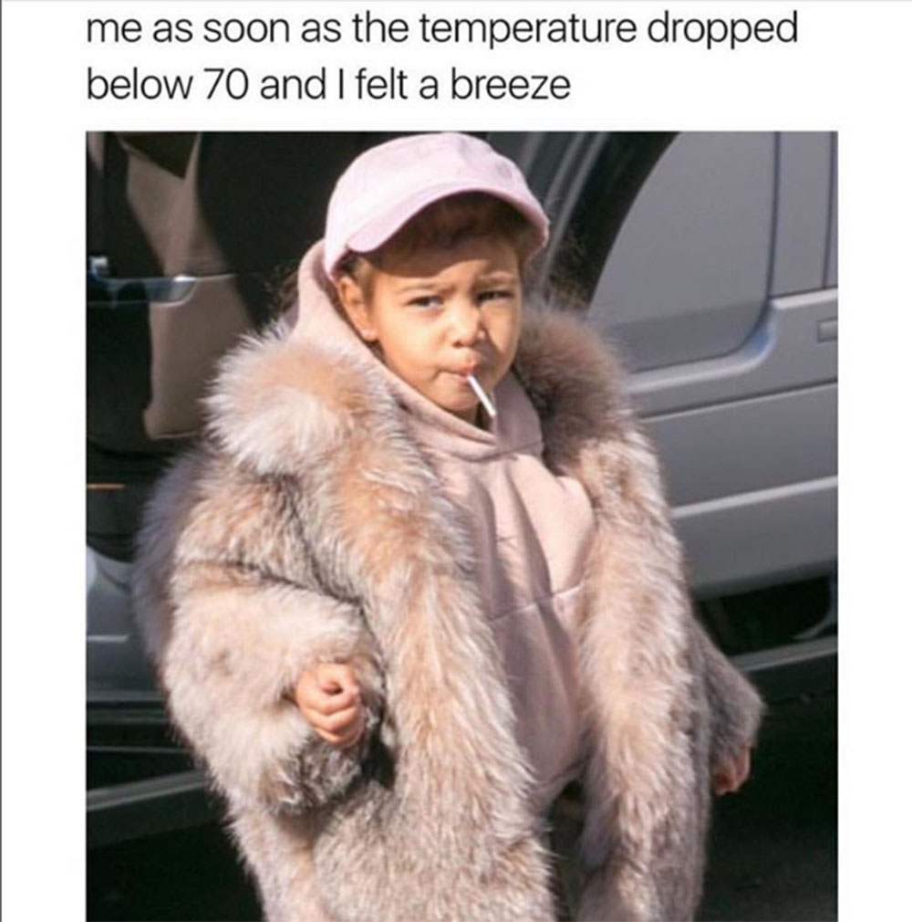 20 Hilarious Fashion Memes 20 Hilarious Fashion Memes