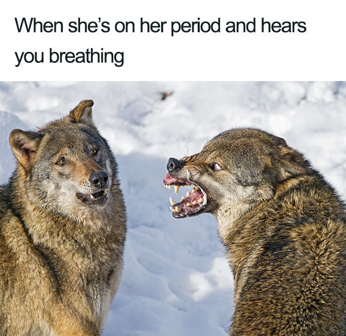 20 Hilarious Relationship Memes To Share With Your Partner