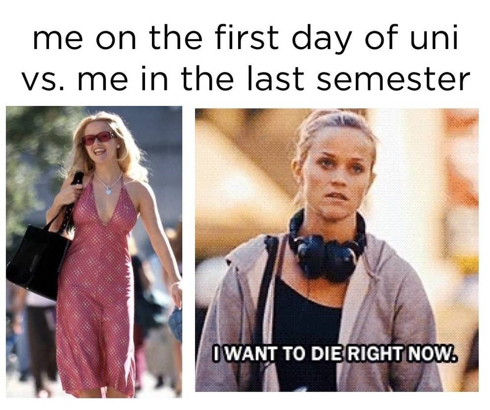 20 Funny University Memes For Students 20 Funny University Memes For Students