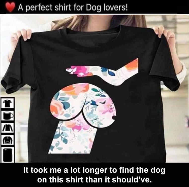 Memes Of The Day
