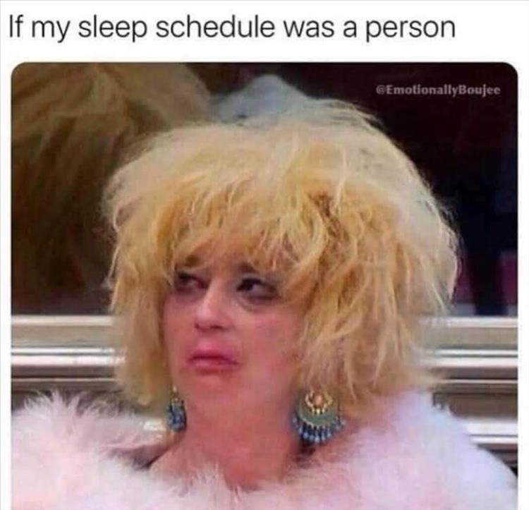 Memes Of The Week To Share With Friends